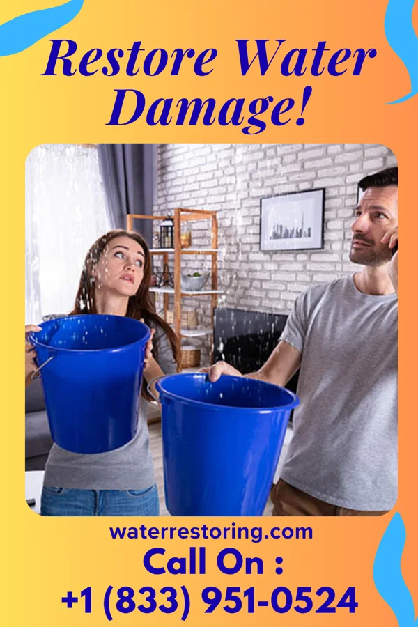 water restoration Southern Water Restoration Pros Winston