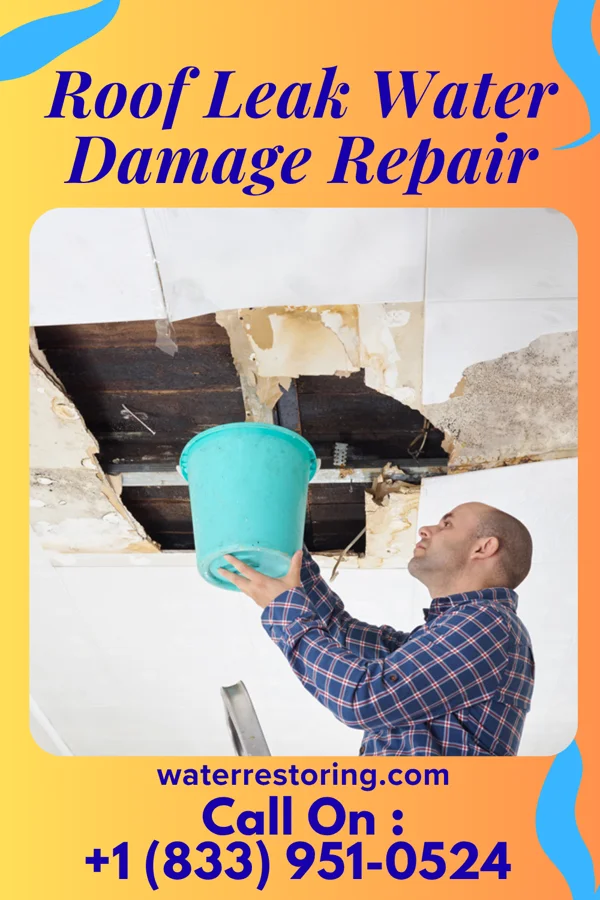 Roof Leak Water Damage Repair in Winston, MO